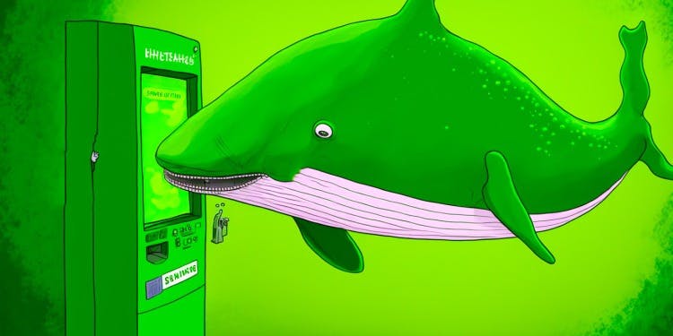 Le transazioni Dogecoin Whale hanno raggiunto il massimo nel 2023 tra l'impennata del 40% da inizio anno del rivale Shiba Inu: Santiment